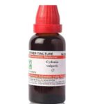 Willmar Schwabe India Cydonia Vulgaris 30CH 100ML Dilutions