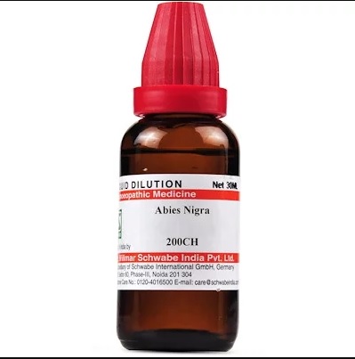 Medicines Mall - Willmar Schwabe India Abies Nigra (200CH) (100 ML) Dilutions Medicines Mall - Willmar Schwabe India Abies Nigra (200CH) (100 ML) Dilutions