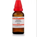 Medicines Mall - Willmar Schwabe India Ampelopsis Quinquefolia (30CH) (100 ML) Dilutions