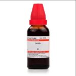 Medicines Mall - Willmar Schwabe India Boldo (Q) (30 ML) Mother Tinctures / MT