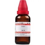 Medicines Mall - Willmar Schwabe India Cimex Lectularius (30CH) (100 ML) Dilutions