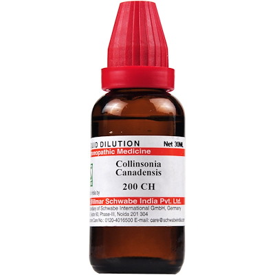 Medicines Mall - Willmar Schwabe India Collinsonia Canadensis (200CH) (100 ML) Dilutions Medicines Mall - Willmar Schwabe India Collinsonia Canadensis (200CH) (100 ML) Dilutions