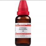 Medicines Mall - Willmar Schwabe India Crataegus Oxyacantha (Q) (30 ML) Mother Tinctures / MT