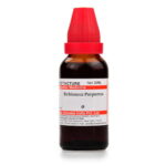 Medicines Mall - Willmar Schwabe India Echinacea Purpurea (Q) (100 ML) Mother Tinctures / MT