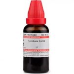 Medicines Mall - Willmar Schwabe India Gentiana Lutea (Q) (100 ML) Mother Tinctures / MT