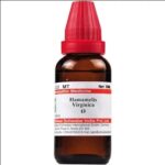 Medicines Mall - Willmar Schwabe India Hamamelis Virginica (Q) (30 ML) Mother Tinctures / MT