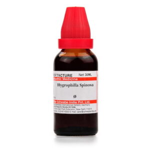 Medicines Mall - Willmar Schwabe India Hygrophilla Spinosa (Q) (30 ML) Mother Tinctures / MT