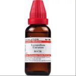 Medicines Mall - Willmar Schwabe India Lycopodium Calvatum (30CH) (30 ML) Dilutions