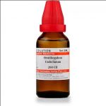 Medicines Mall - Willmar Schwabe India Ornithogalum Umbellatum (200CH) (100 ML) Dilutions