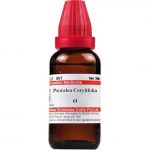 Medicines Mall - Willmar Schwabe India Psoralea Corylifolia (Q) (100 ML) Mother Tinctures / MT