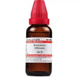 Medicines Mall - Willmar Schwabe India Rosmarinus Officinalis / Officinale (30CH) (30 ML) Dilutions