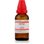 Medicines Mall - Willmar Schwabe India Salix Nigra (200CH) (100 ML) Dilutions
