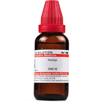 Medicines Mall - Willmar Schwabe India Senega (200CH) (30 ML) Dilutions Medicines Mall - Willmar Schwabe India Senega (200CH) (30 ML) Dilutions