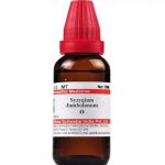 Medicines Mall - Willmar Schwabe India Syzygium Jambolanum / Jamun (Q) (100 ML) Mother Tinctures / MT