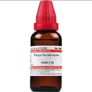 Medicines Mall - Willmar Schwabe India Thuja Occidentalis (1M / 1000CH) (100 ML) Dilutions
