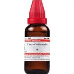 Medicines Mall - Willmar Schwabe India Thuja Occidentalis (Q) (30 ML) Mother Tinctures / MT