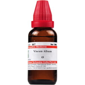 Medicines Mall - Willmar Schwabe India Viscum Album (Q) (30 ML) Mother Tinctures / MT