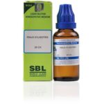 Medicines Mall - SBL Pinus Sylvestris (30CH) (100 ML) Dilutions