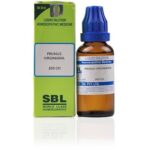 Medicines Mall - SBL Prunus Virginiana (200CH) (100 ML) Dilutions