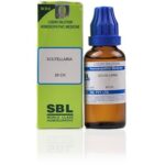 Medicines Mall - SBL Scutellaria (30CH) (100 ML) Dilutions