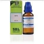 Buy 100ML Bottle of SBL Sepia 30CH Dilution