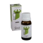 New Life Bach Flower Larch (30 ML) Drops