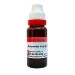 RW / Dr Reckeweg Artemisia Vulgaris (Q) (20 ML) Mother Tinctures / MT