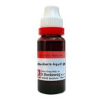 RW / Dr Reckeweg Berberis Aquifolium (Q) (20 ML) Mother Tinctures / MT