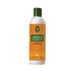 Ralson Arnica (300 ML) Shampoo