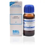 SBL Acidum Carbolicum (Q) (100 ML) Mother Tinctures / MT