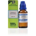 SBL Agaricus Muscarius (200CH) (100 ML) Dilutions