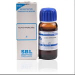 SBL Agave Americana (Q) (30 ML) Mother Tinctures / MT
