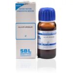 SBL Allium Ursinum (Q) (100 ML) Mother Tinctures / MT