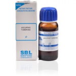 SBL Asclepias Tuberosa (Q) (30 ML) Mother Tinctures / MT