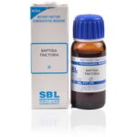 SBL Baptisia Tinctoria (Q) (30 ML) Mother Tinctures / MT