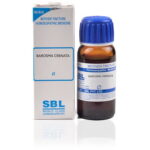SBL Barosma Crenata (Q) (100 ML) Mother Tinctures / MT