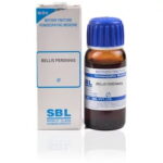 SBL Bellis Perennis (Q) (100 ML) Mother Tinctures / MT