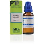 SBL Berberis Vulgaris (1M / 1000CH) (100 ML) Dilutions