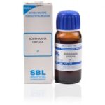SBL Boerhaavia Diffusa (Q) (30 ML) Mother Tinctures / MT