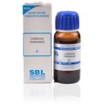 SBL Carduus Marianus (Q) (30 ML) Mother Tinctures / MT