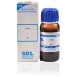SBL Cina (Q) (100 ML) Mother Tinctures / MT