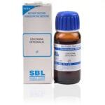 SBL Cinchona / China Officinalis / Officinale (Q) (30 ML) Mother Tinctures / MT