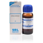 SBL Citrus Limonum (Q) (100 ML) Mother Tinctures / MT