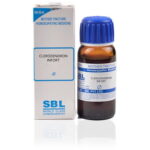 SBL Clerodendron Infortunatum (Q) (30 ML) Mother Tinctures / MT