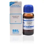 SBL Equisetum Hyemale (Q) (30 ML) Mother Tinctures / MT