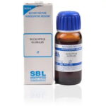 SBL Eucalyptus Globulus (Q) (30 ML) Mother Tinctures / MT