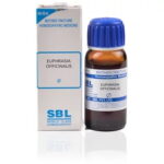 SBL Euphrasia Officinalis / Officinale (Q) (100 ML) Mother Tinctures / MT