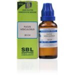 SBL Fucus Vesiculosus (30CH) (100 ML) Dilutions