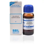 SBL Gelsemium Sempervirens (Q) (30 ML) Mother Tinctures / MT
