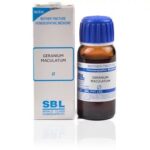 SBL Geranium Maculatum (Q) (30 ML) Mother Tinctures / MT
